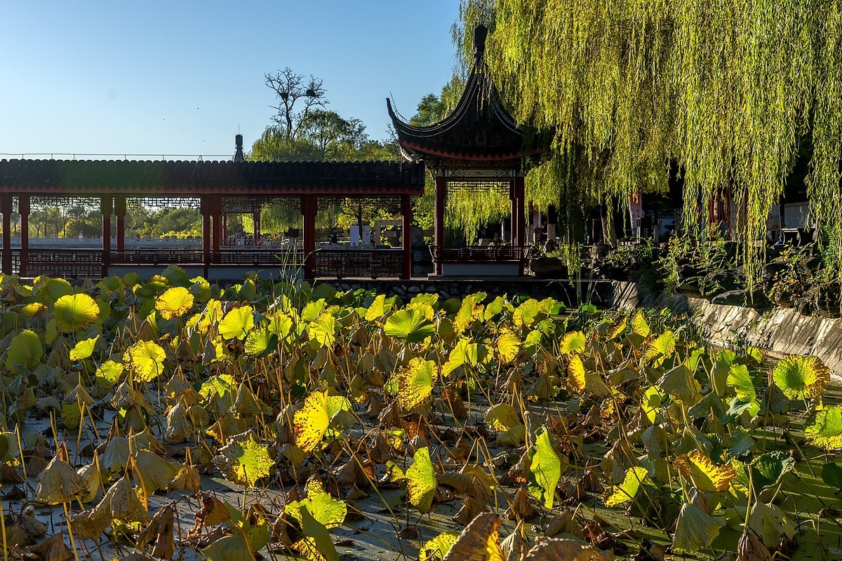 秋意渐浓（续5）