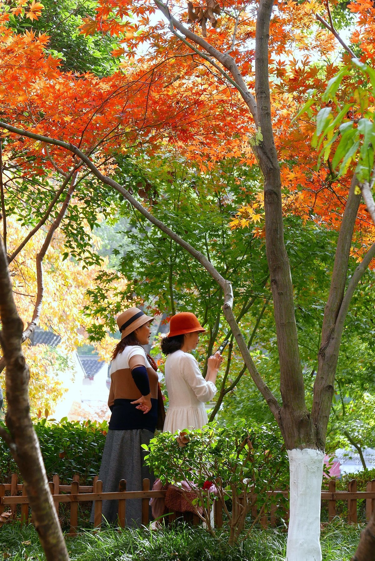 南京栖霞山秋色