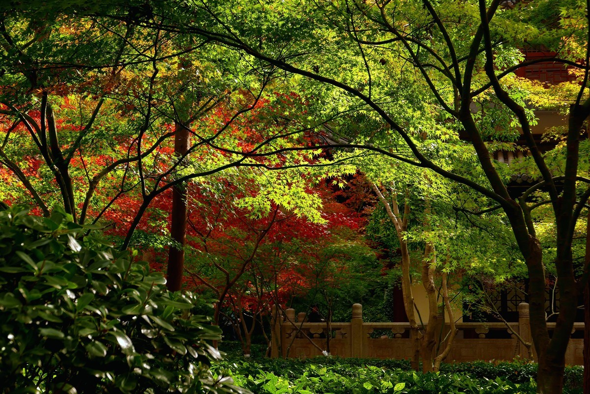 南京栖霞山秋色