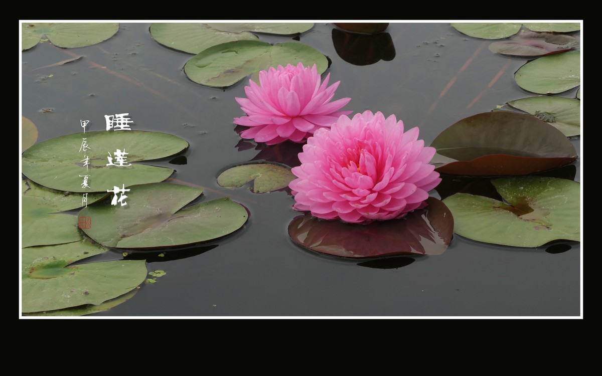 十一月  精华荟萃