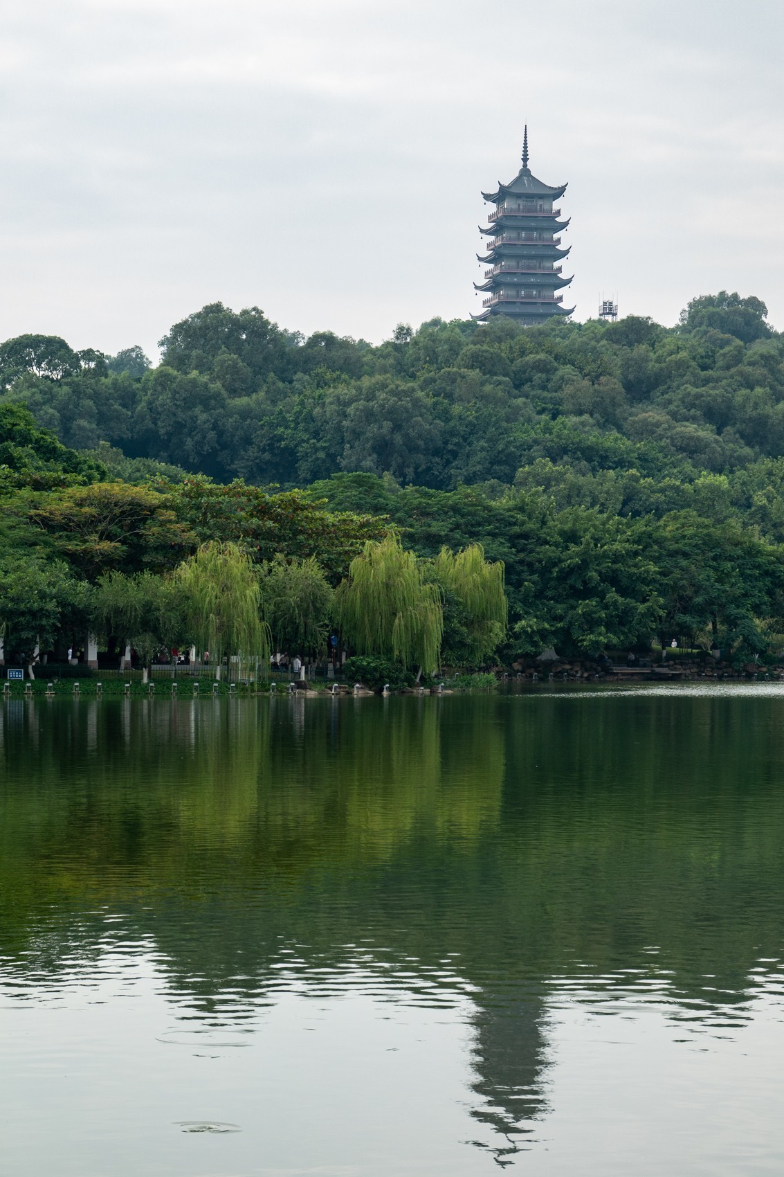 十一月  精华荟萃