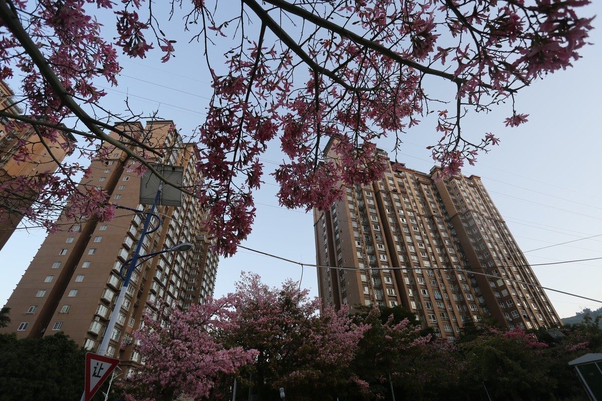 春花冬开的城市风景——攀枝花市