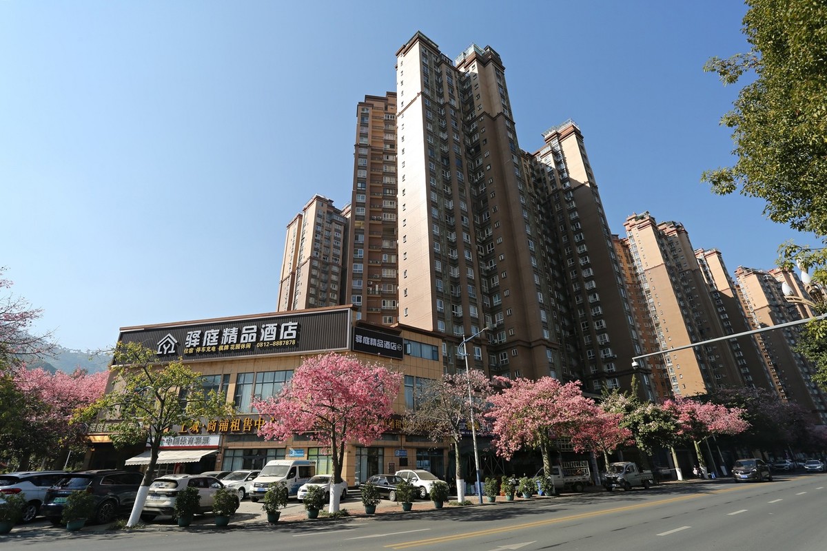 春花冬开的城市风景——攀枝花市