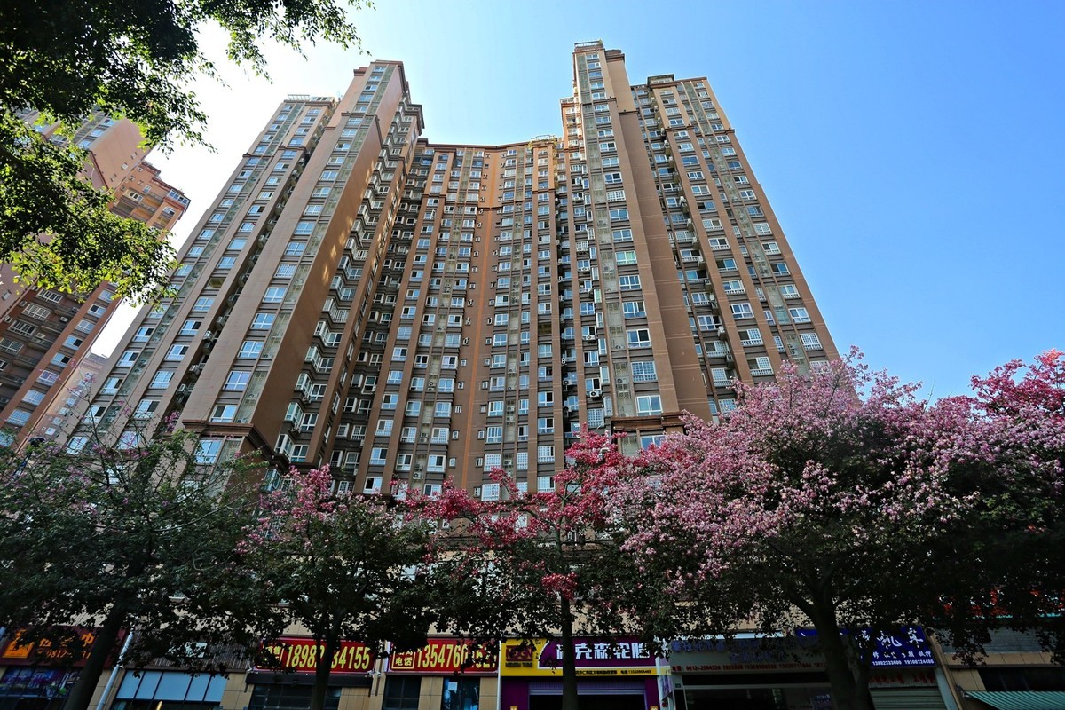 春花冬开的城市风景——攀枝花市