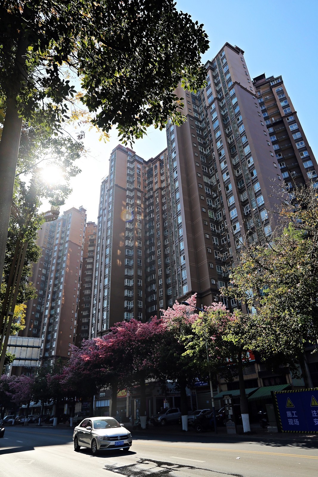 春花冬开的城市风景——攀枝花市