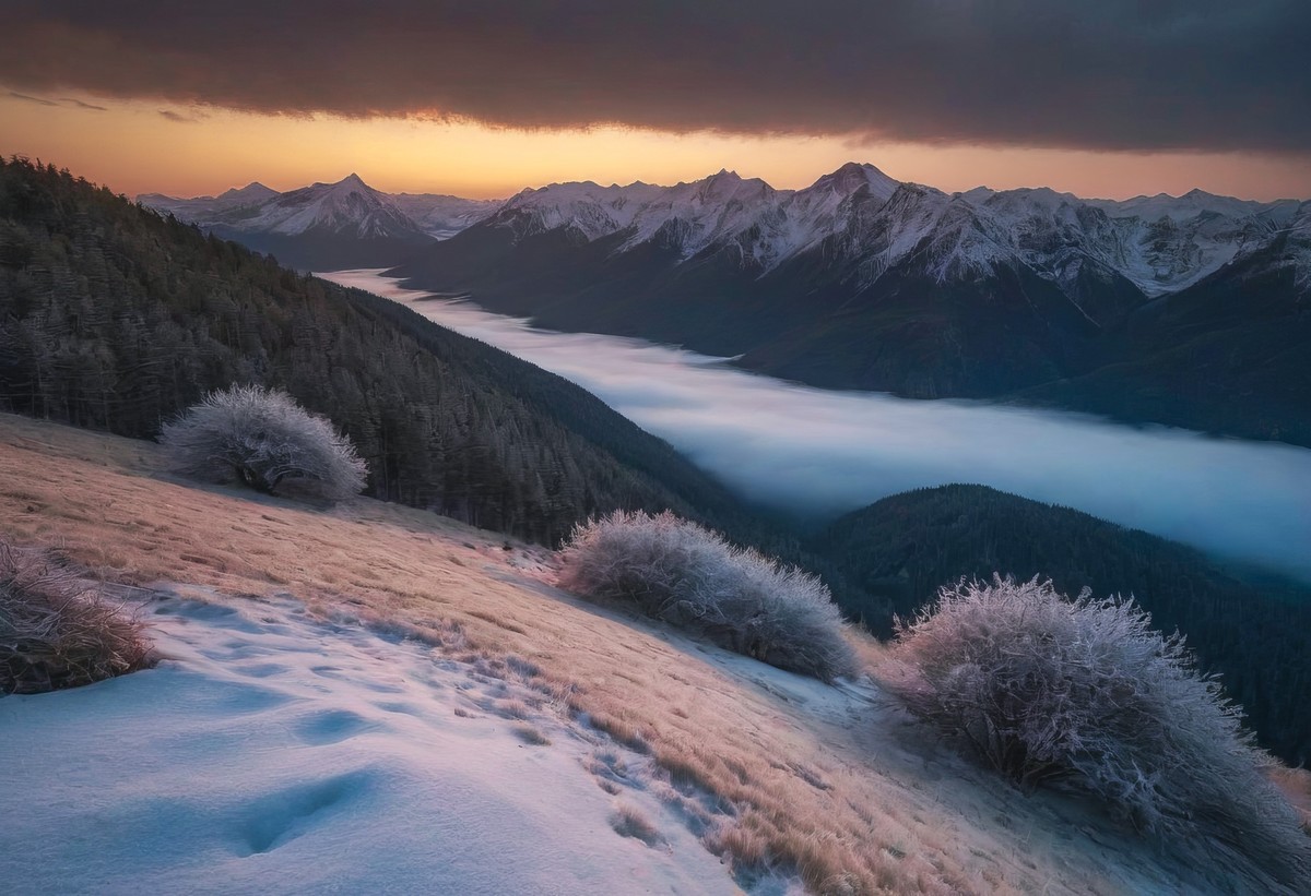 大自然的神奇魅力