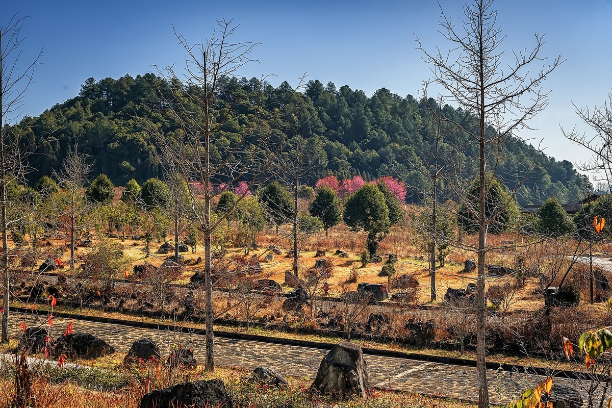 腾冲火山地质公园