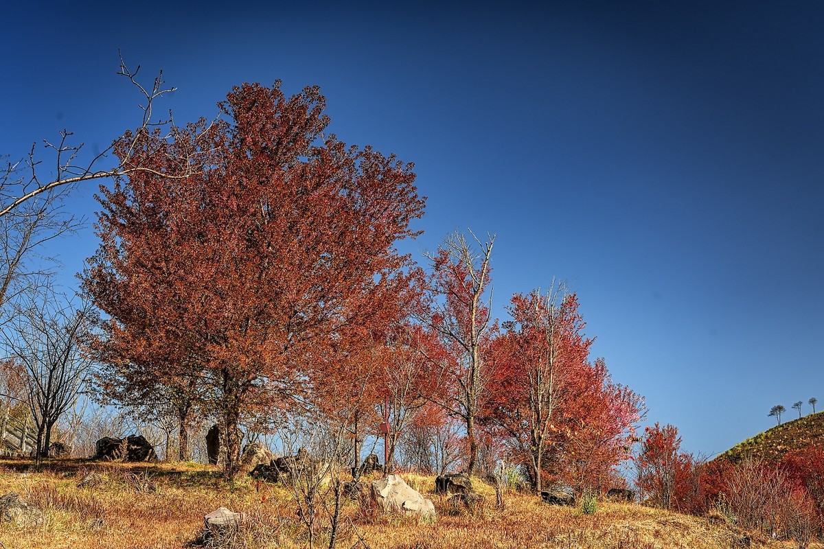 腾冲火山地质公园