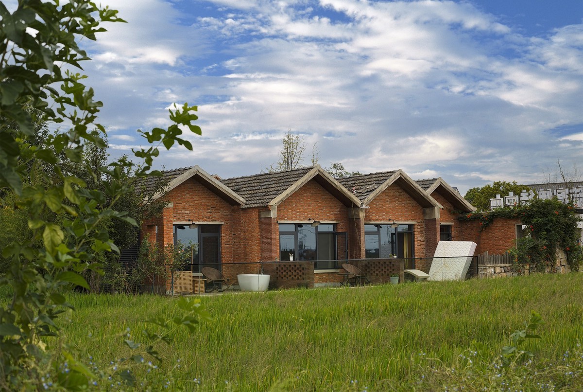 秋天里来小岭南大麦季