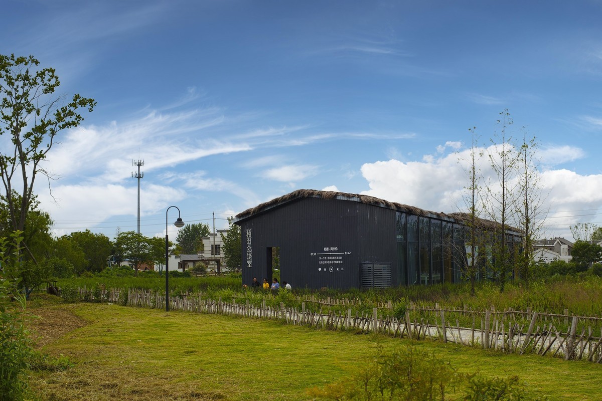 秋天里来小岭南大麦季