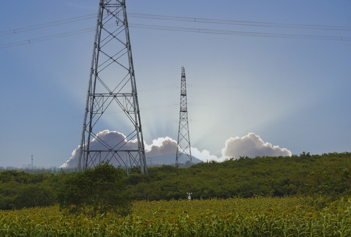 秋天里来小岭南大麦季