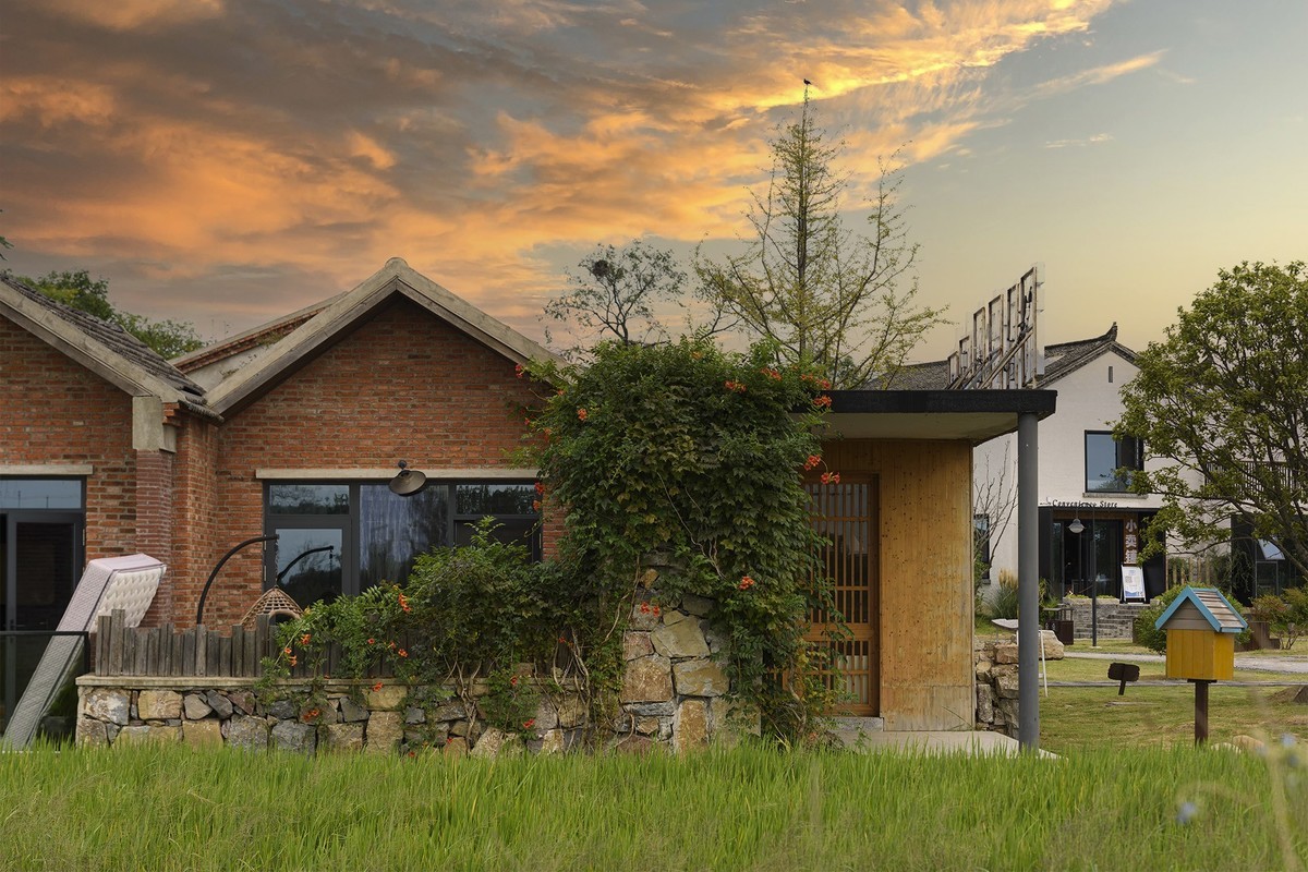 秋天里来小岭南大麦季