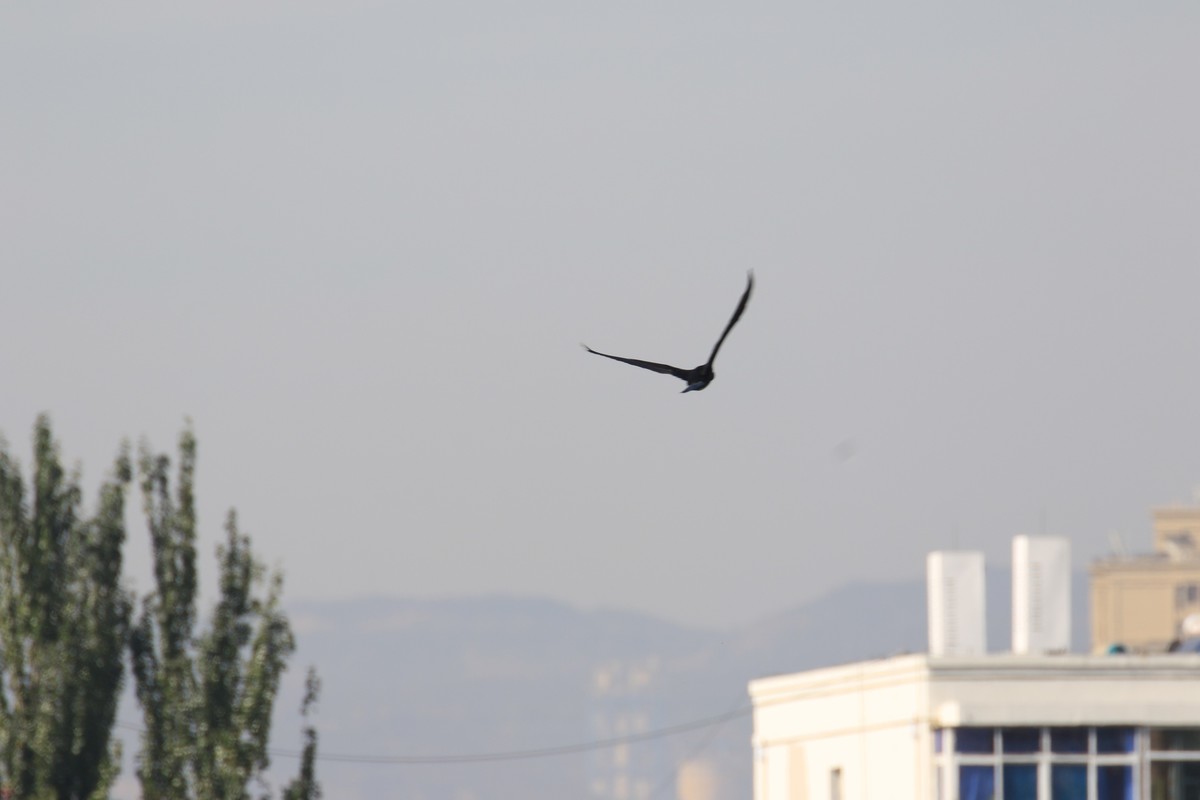 散步滨海公园随拍