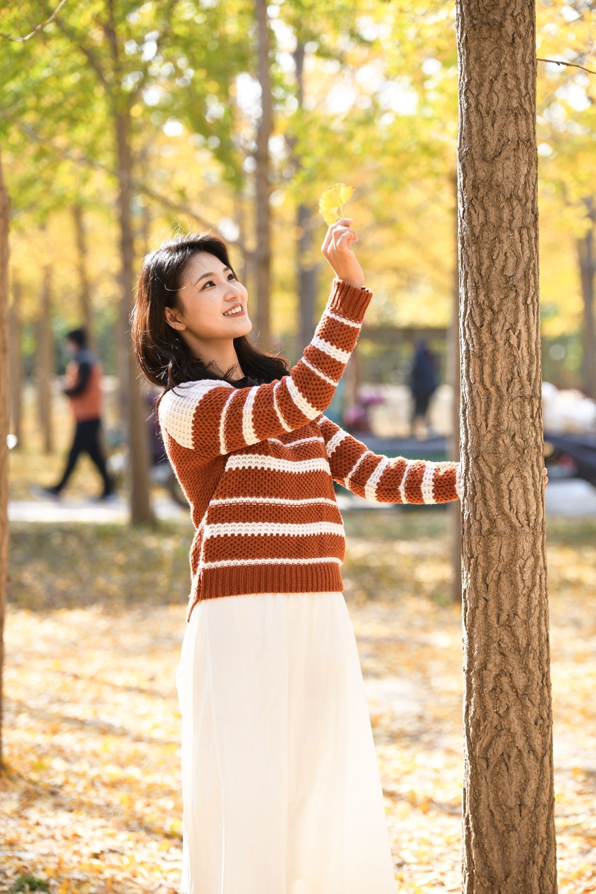 金色银杏林之青春美少女(一)-中关村在线摄影论坛