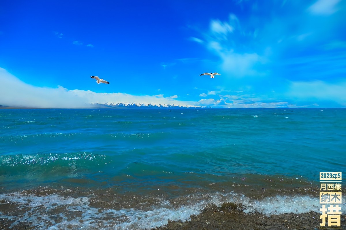 纳木措 (7)