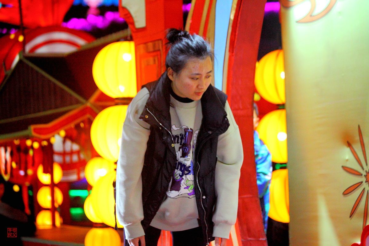 自贡恐龙灯会（十一）