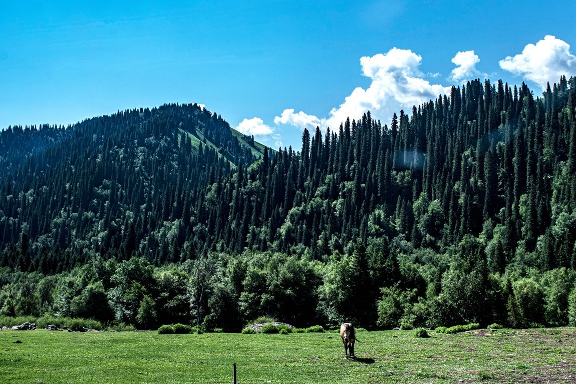 独库公路--从那拉提到独山子【2】