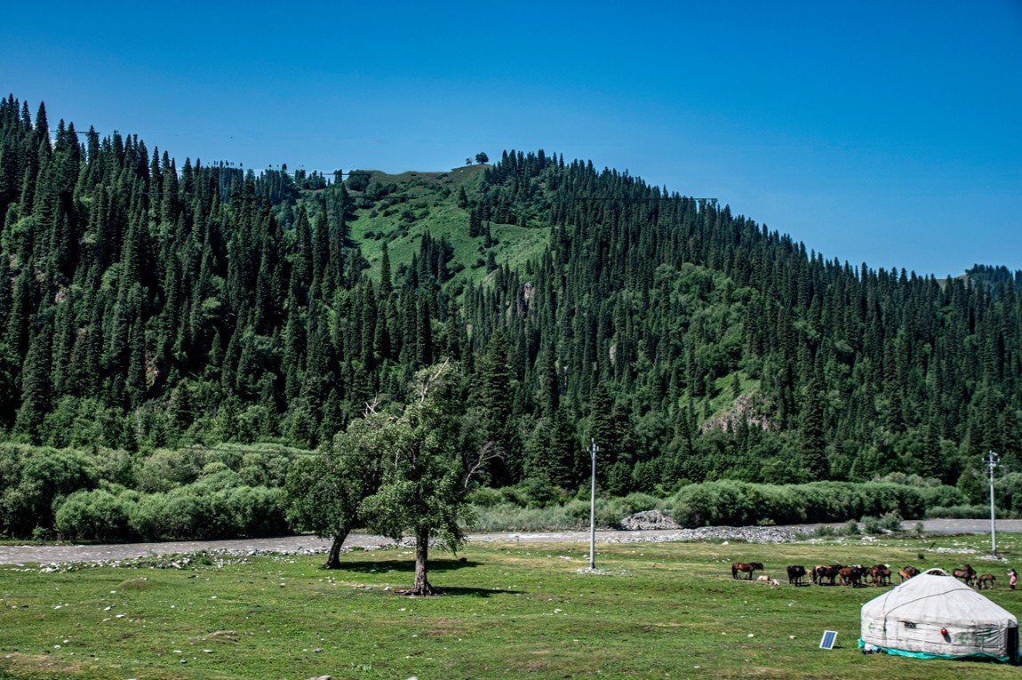 独库公路--从那拉提到独山子【2】