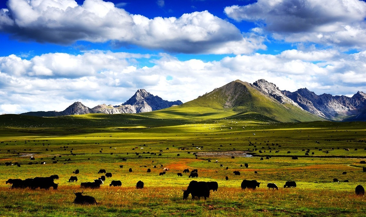 青海路途随拍【久治县】【6】