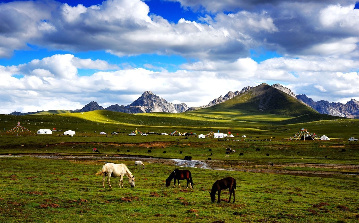 青海路途随拍【久治县】【6】