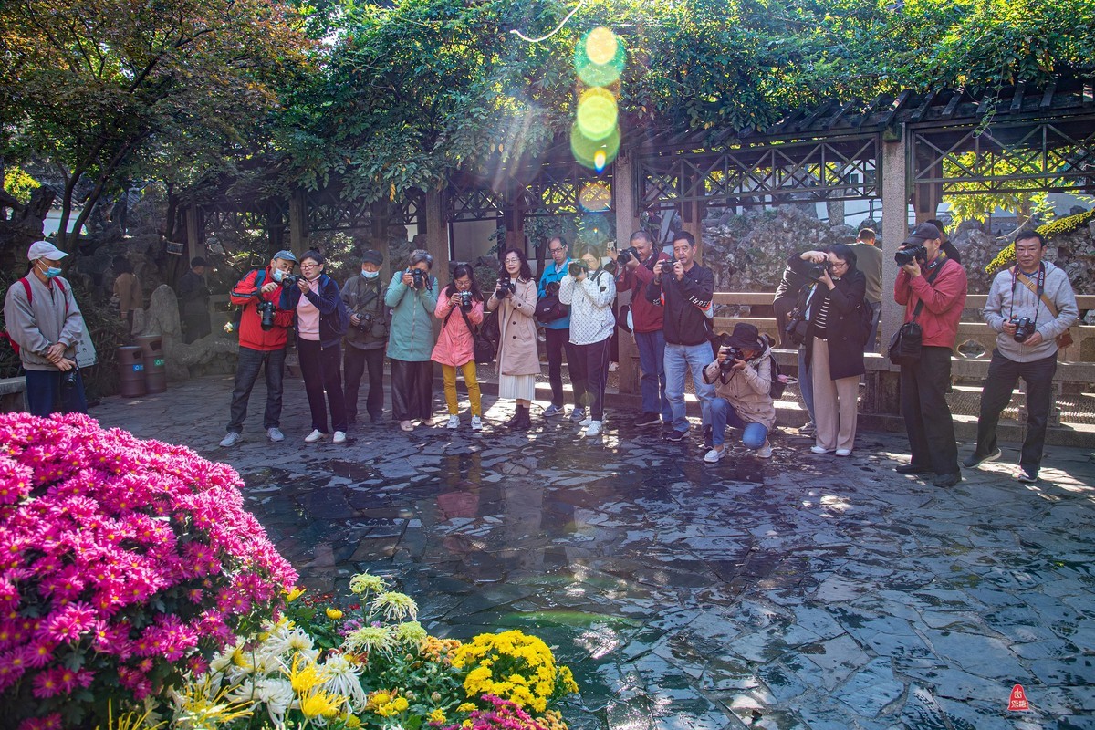 狮林赏菊拍摄花絮