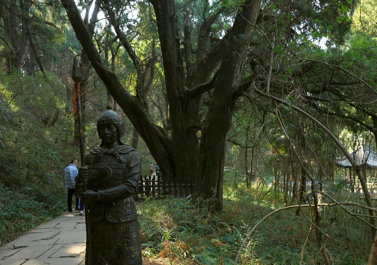 游四川广元翠云廊