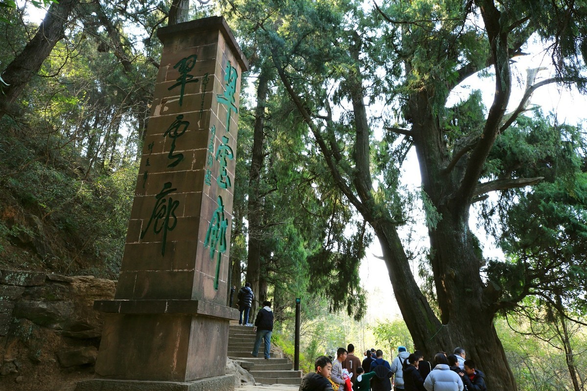 游四川广元翠云廊