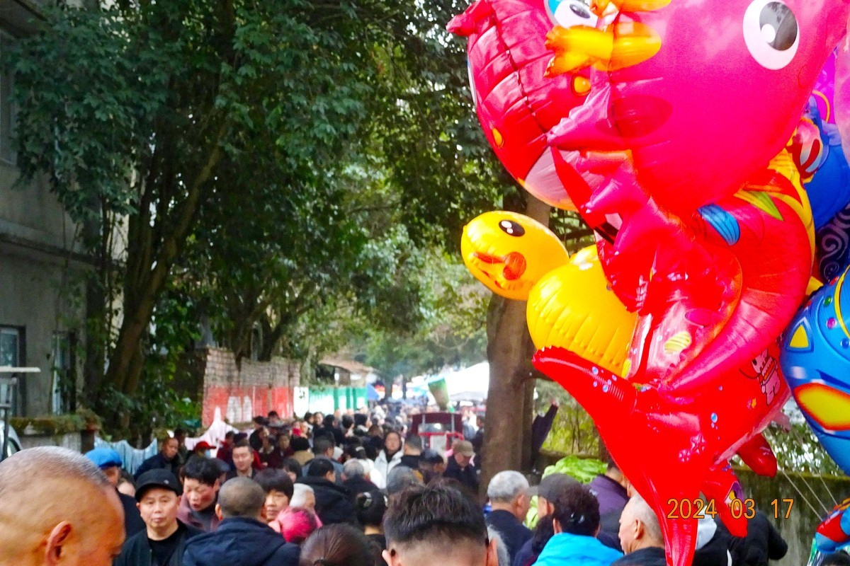 闹热的青城山中兴镇春台会