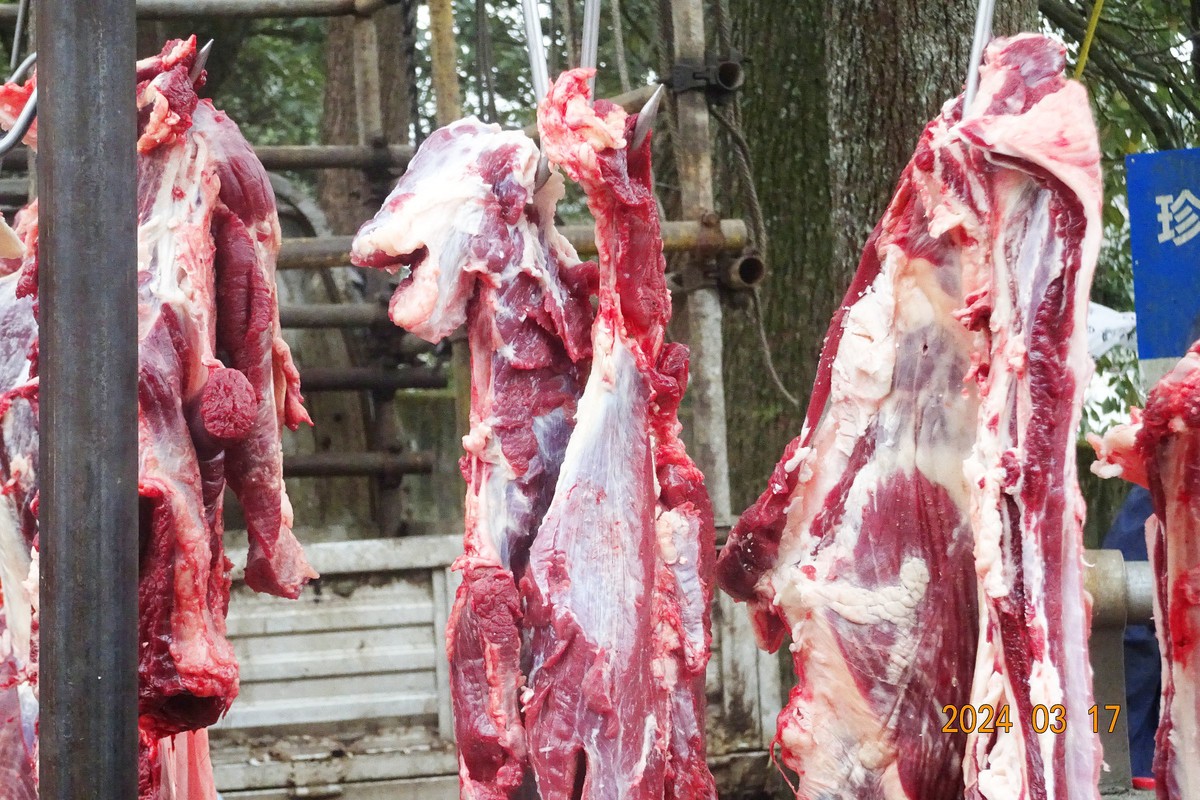 闹热的青城山中兴镇春台会