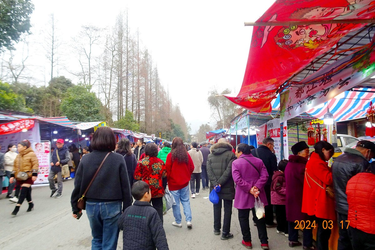闹热的青城山中兴镇春台会