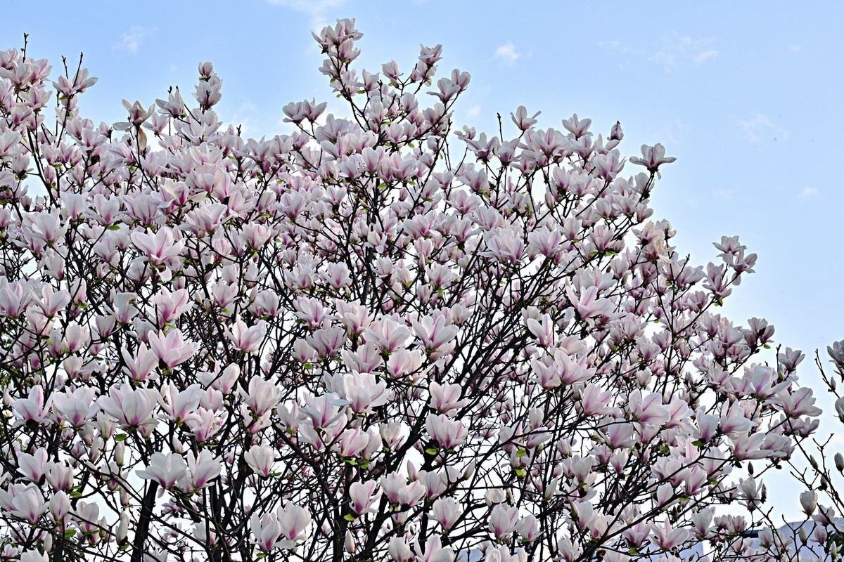 我和春天有个约会