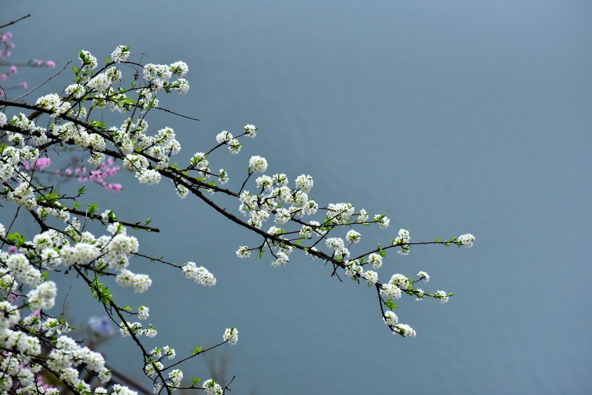 我和春天有个约会