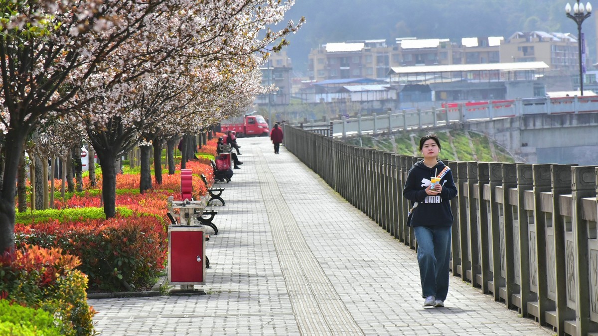 我和春天有个约会