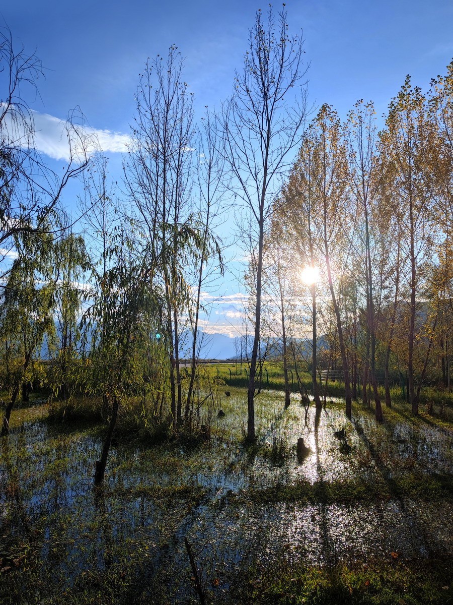 泸沽湖草海（第五集）——8P