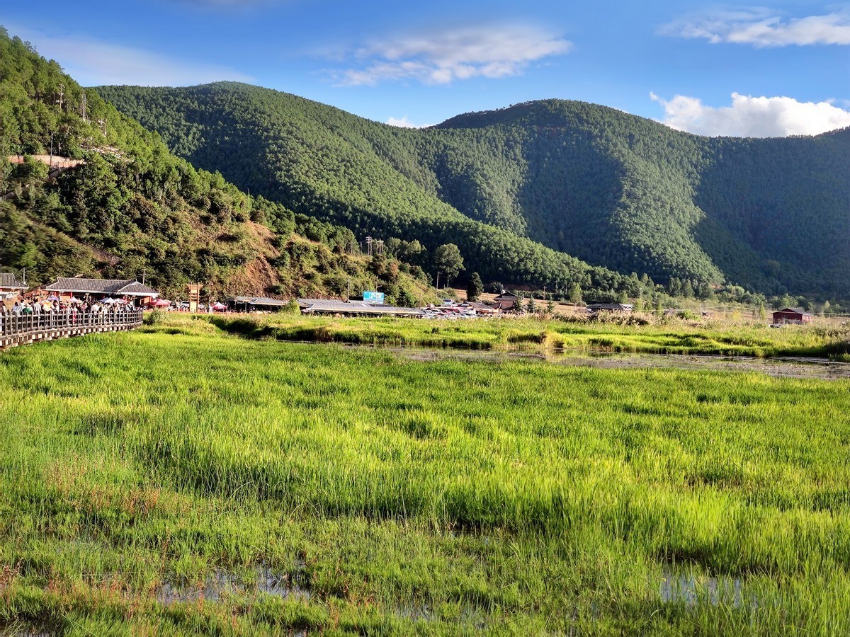 泸沽湖草海（第五集）——8P