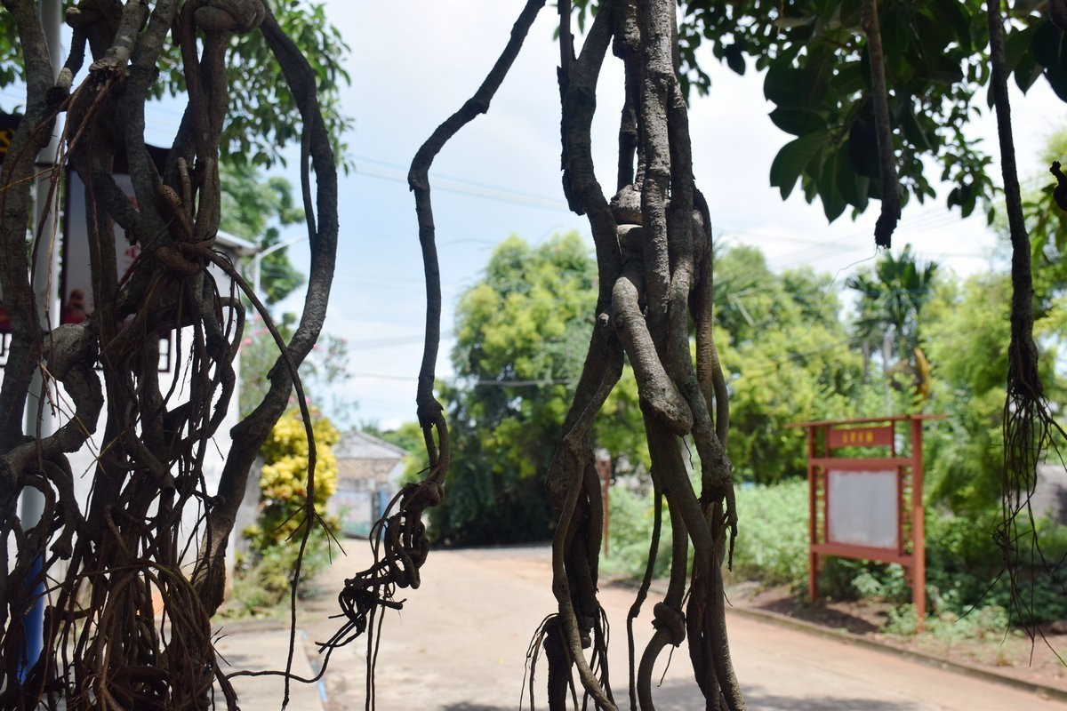 2024夏 海南环岛行（168）传统的海南农家味道