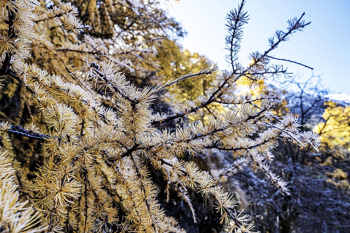 稻城亚丁--秋日行【17】