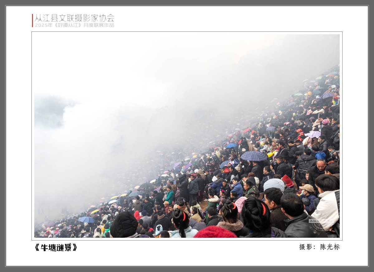 好摄从江月度联展作品（一）