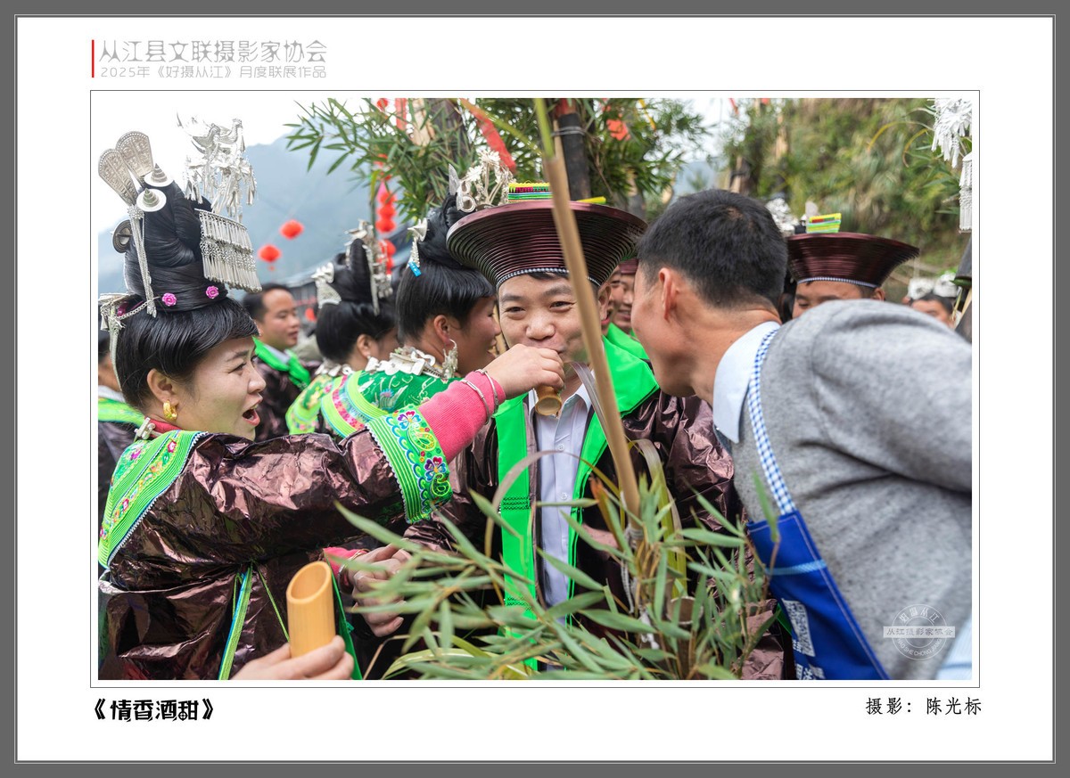 好摄从江月度联展作品（一）