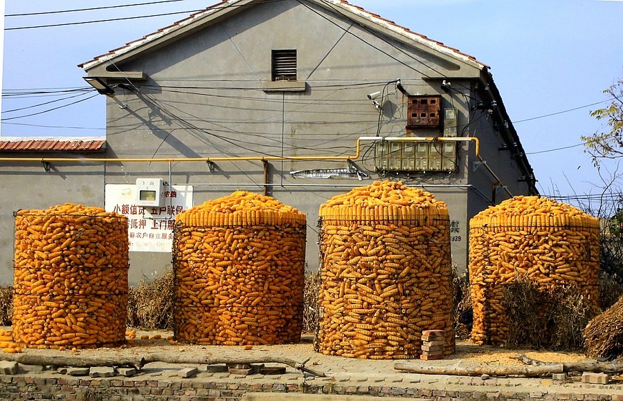 《不老松：纪实摄影》大美沧州系列報道：海兴小山火山地质公园(14)农村家家户户门口都