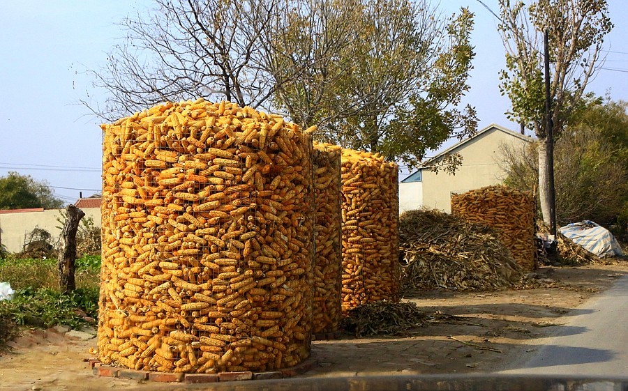 《不老松：纪实摄影》大美沧州系列報道：海兴小山火山地质公园(14)农村家家户户门口都