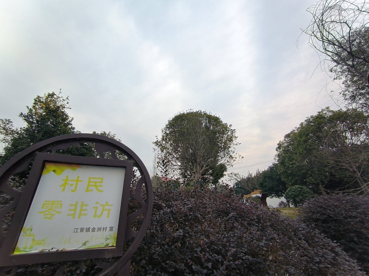 漫步星城 走街串巷（600）金洲筒车公园