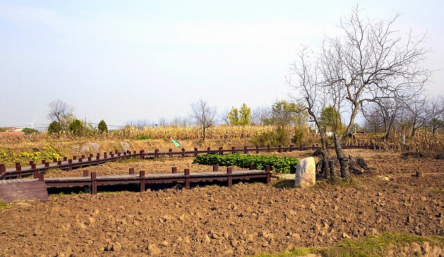 《不老松：纪实摄影》大美沧州系列報道：海兴小山火山地质公园(11)周边景！