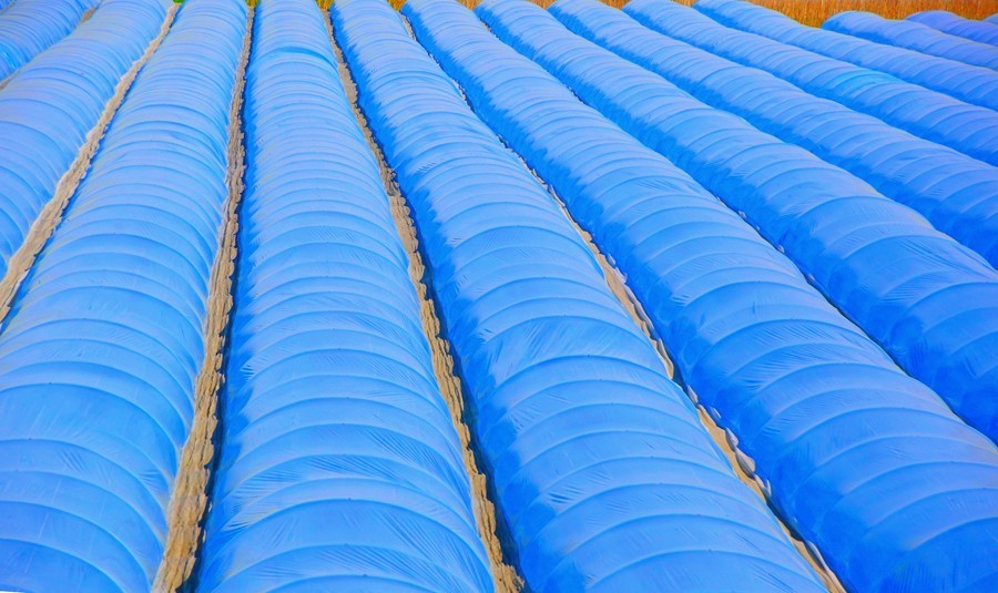 《不老松：忆海南游记》（8）海南高铁西线景！