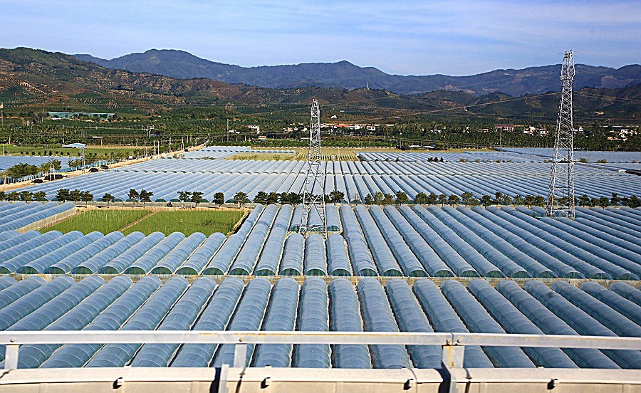 《不老松：忆海南游记》（8）海南高铁西线景！