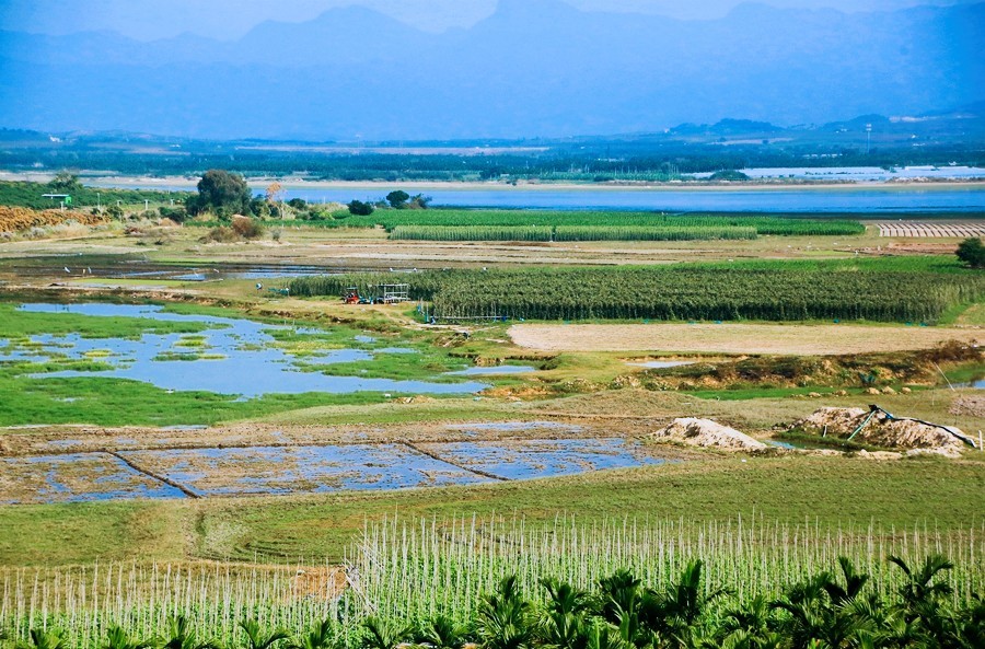 《不老松：忆海南游记》（8）海南高铁西线景！