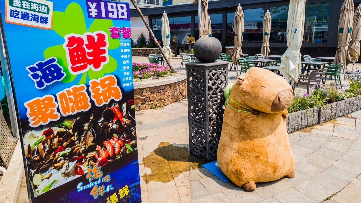 休 渔 期 的 渔 人 码 头