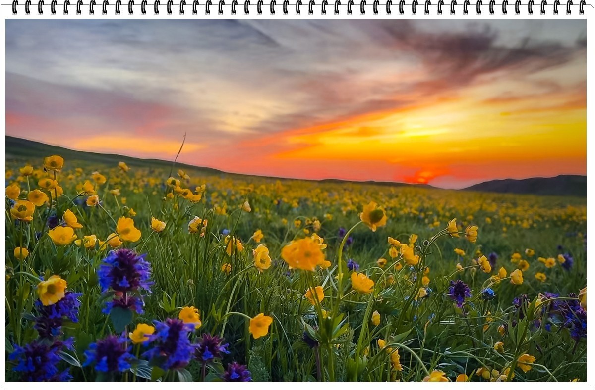 2025年-人文风光纪实抓拍-0483