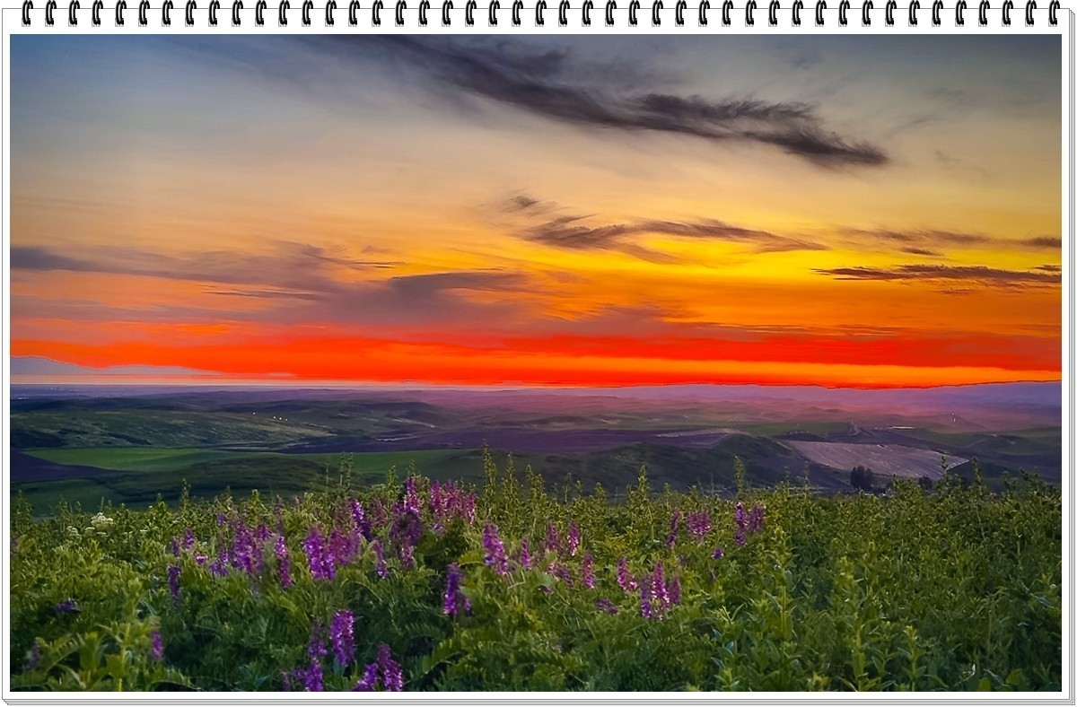 2025年-人文风光纪实抓拍-0481