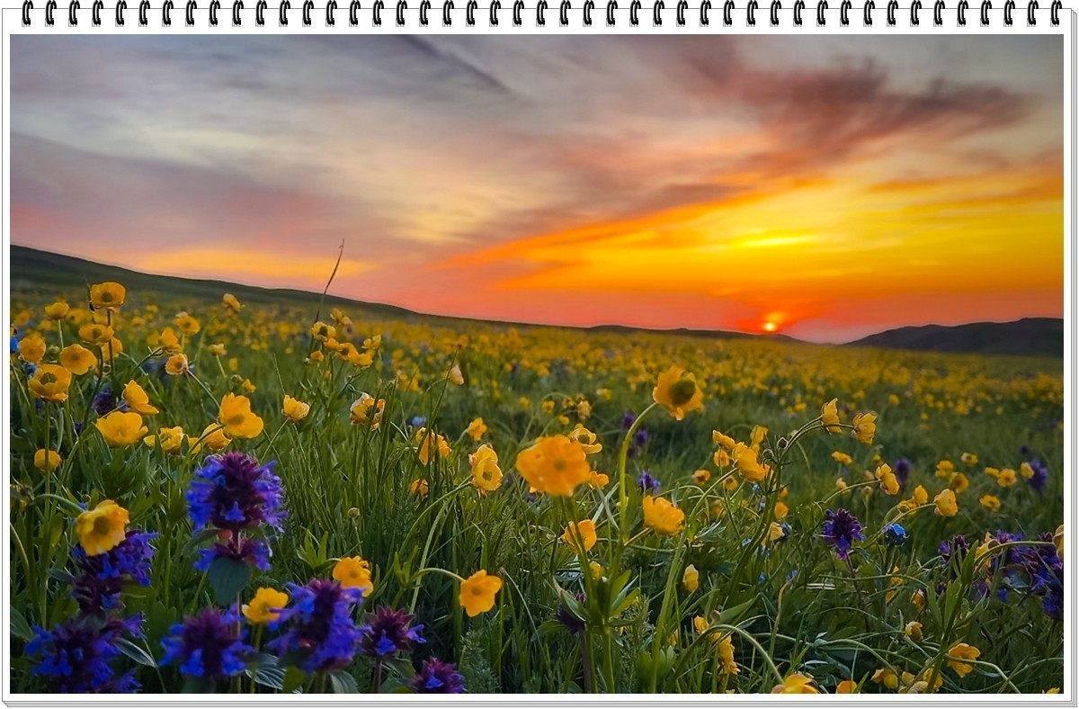 2025年-人文风光纪实抓拍-0481